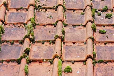 Ensure Building Integrity with Roof Replacement in Northern VA