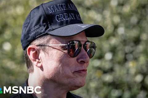 ‘Desperate’: Elon Musk begs employees to ''hang onto your stock'' as Tesla flounders